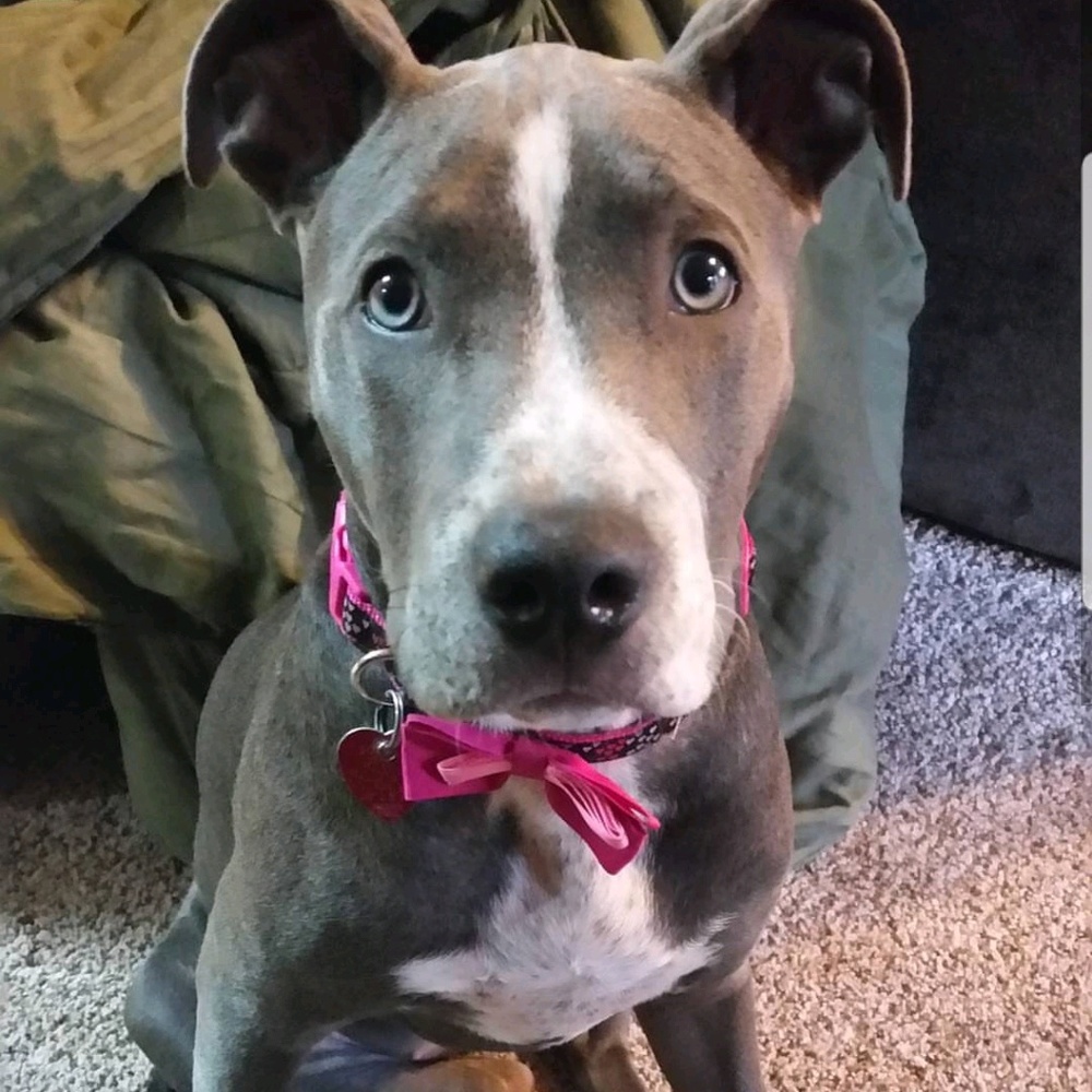 Meet your Posher, Inspire